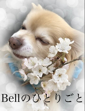 Bellのひとりごと